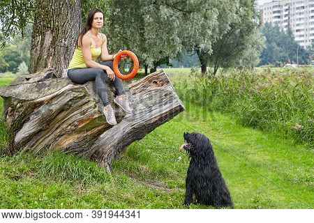 Female Owner Plays With Briard In Park.