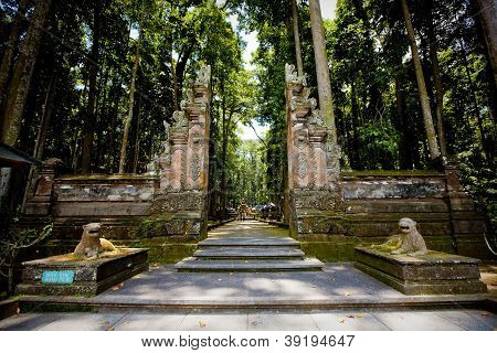 ลิงป่าในบาหลี (Sangeh)