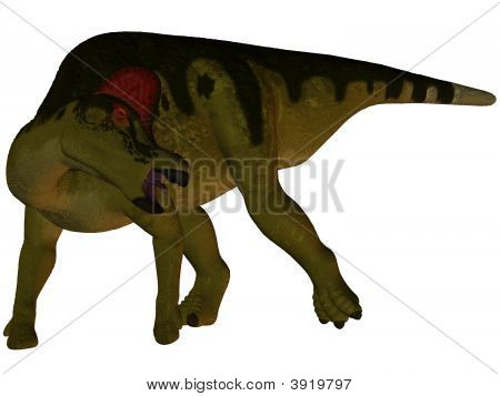 Corythosaurus-3D dinosauro