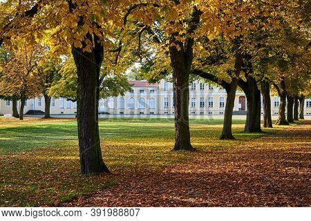 An Alley With Deciduous Trees In The Park And A Fragment Of A Baroque Palace During Autumn In Rogali