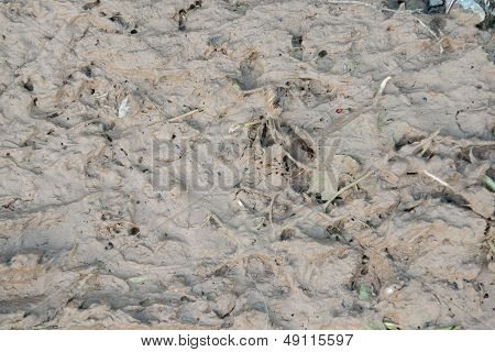 Mud Textured Natural Background