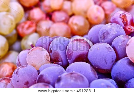 vine fruit