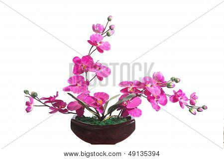 Potted