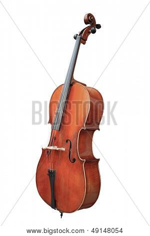 violoncello isolato sotto lo sfondo bianco