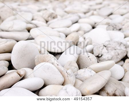 Sea Stone