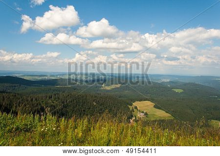 Landscape In Feldberg Germany Black Forest.