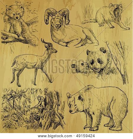 Dieren