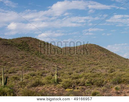 Desert Landscape