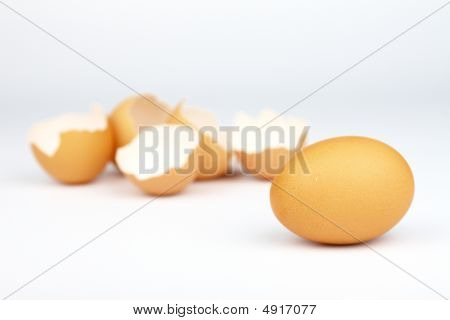 eggs