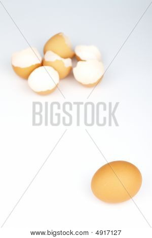 eggs