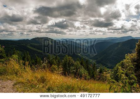 Landscape In Feldberg Black Forest In Germany