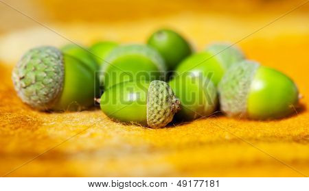 Heap Of Green Acorns On Warm Yellow Woolen Rug