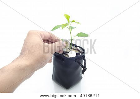 Investing To Green Business .