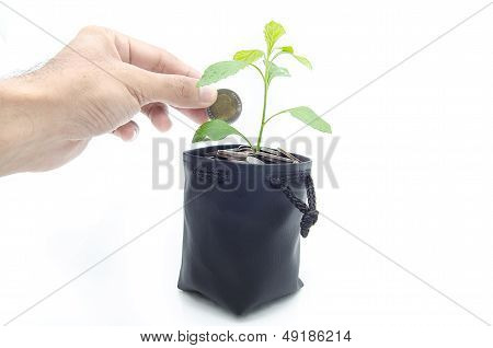 Investing To Green Business .