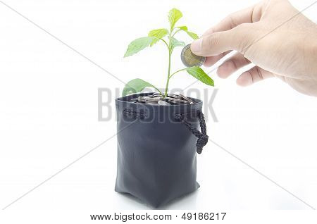 Investing To Green Business .