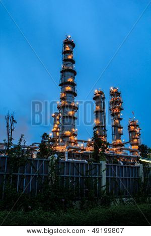 Plant Petroleum