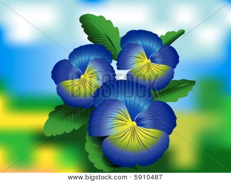 Pansise