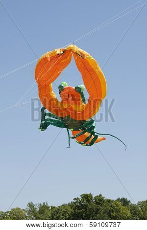 Blue And Green Lobster Kite