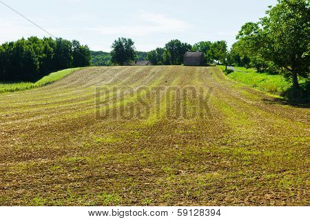 Harvest