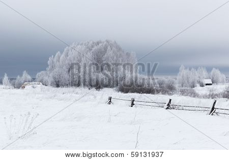 Winter landscape