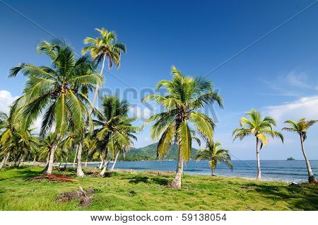 Wild Colombian Caribbean Coast Near Capurgana
