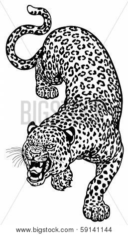 Leopard Tattoo Black White