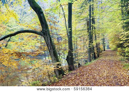 Peklo Valley in autumn, Czech Republic