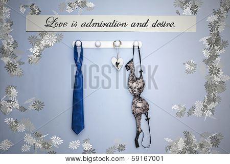 Lblue Tie And Bra Hung In Wall Hanger Of White Wood On Wall, Sign Attached To The Wall With The Phra