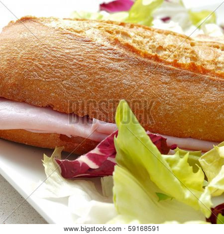 closeup of a plate with a sandwich ham and salad