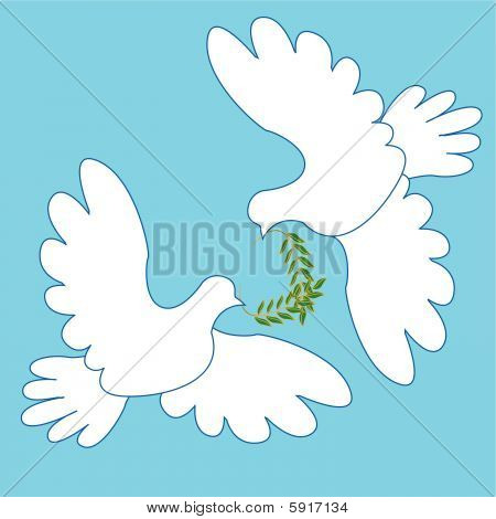 Dove