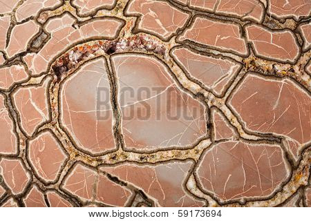 Septaria Concretion Mineral Surface