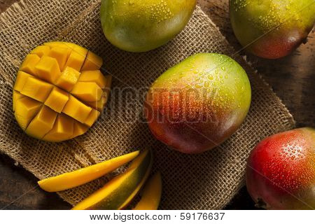 Organic Colorful Ripe Mangos