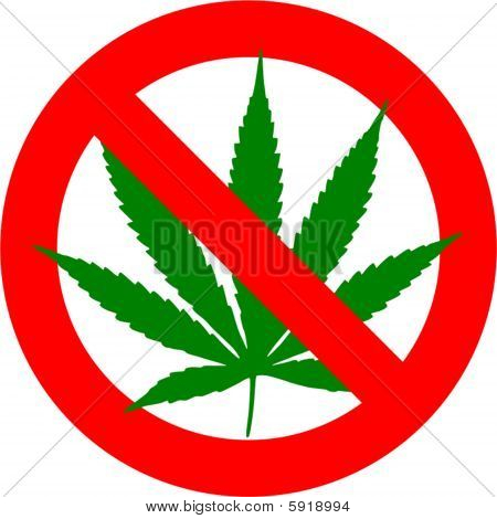 Cannabis