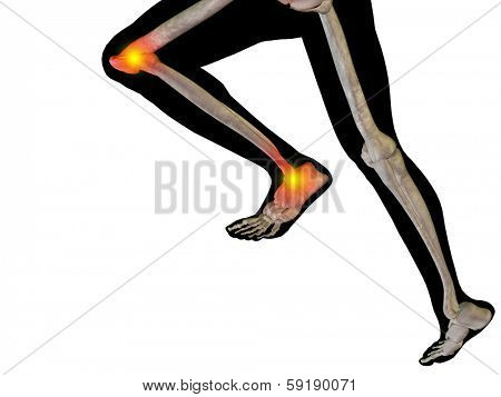 Conceptual 3D human man anatomy or health design, joint or articular pain, ache or injury isolated on white background, for medical, fitness, medicine, bone, care, hurt, osteoporosis,arthritis or body