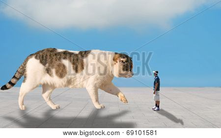 Man And Cat