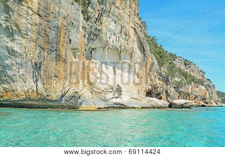 Turquoise Water By The Shore