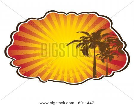 Tropical sun splash