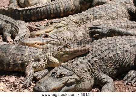 Mucchio di Crocs
