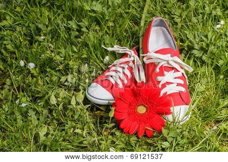 Red sneakers with gerbera flower