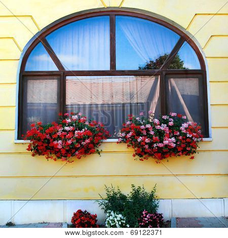 Window Decoration With Flowers