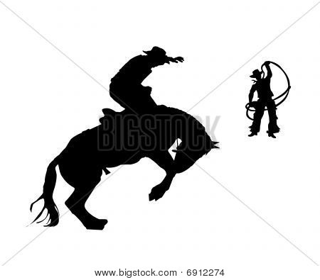 Rider.