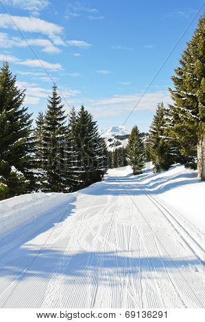 Ski Run In Snow Forest On Mountain In Avoriaz