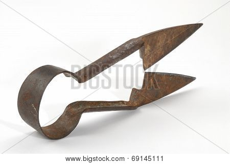 scissors