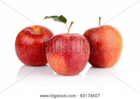 Studio Shot Of Red Apples With Leaf
