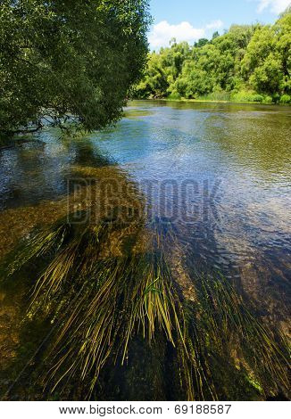 Green algae in fast flowing river 