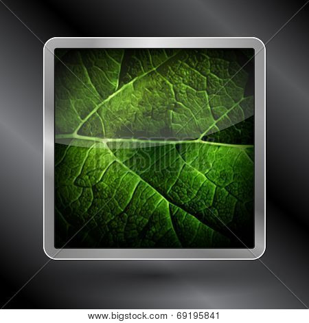 Vector icon leaf of the tree