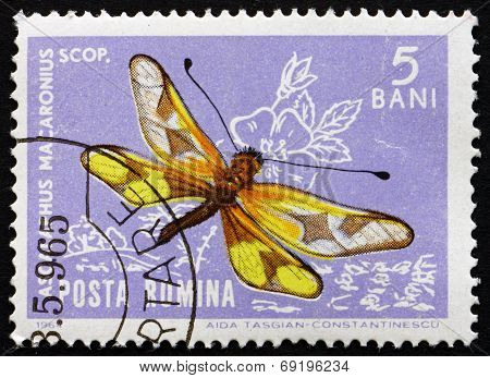 Postage Stamp Romania 1964 Asculaphid, Ascalaphus Macaronius, Insect