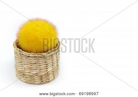 Color Ball