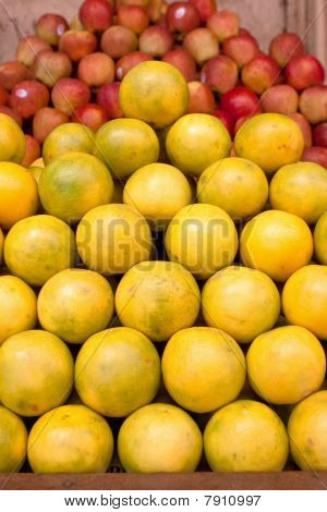 Citrus
