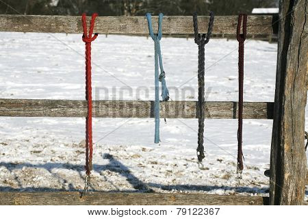Winter Corral Fenced With Equestrian Equipment